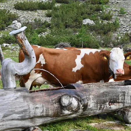 Bosco D'oro Διαμέρισμα