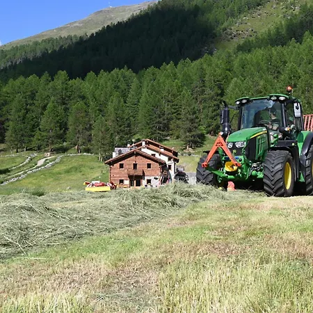 Bosco D'oro Διαμέρισμα *